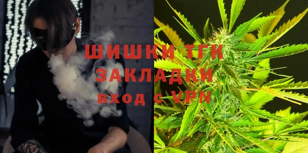 сатива Инсар