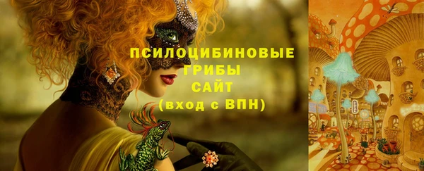 героин Алексин