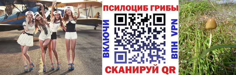 Галлюциногенные грибы ЛСД  даркнет сайт  OMG зеркало  Пролетарск 